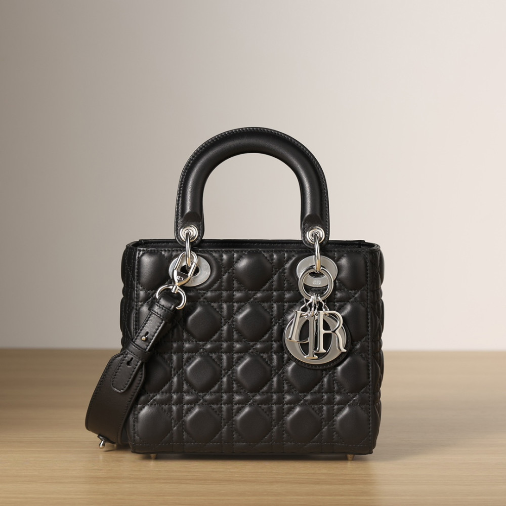 SMALL LADY DIOR MY ABCDIOR BAG SMALL LADY DIOR MY ABCDIOR BAG