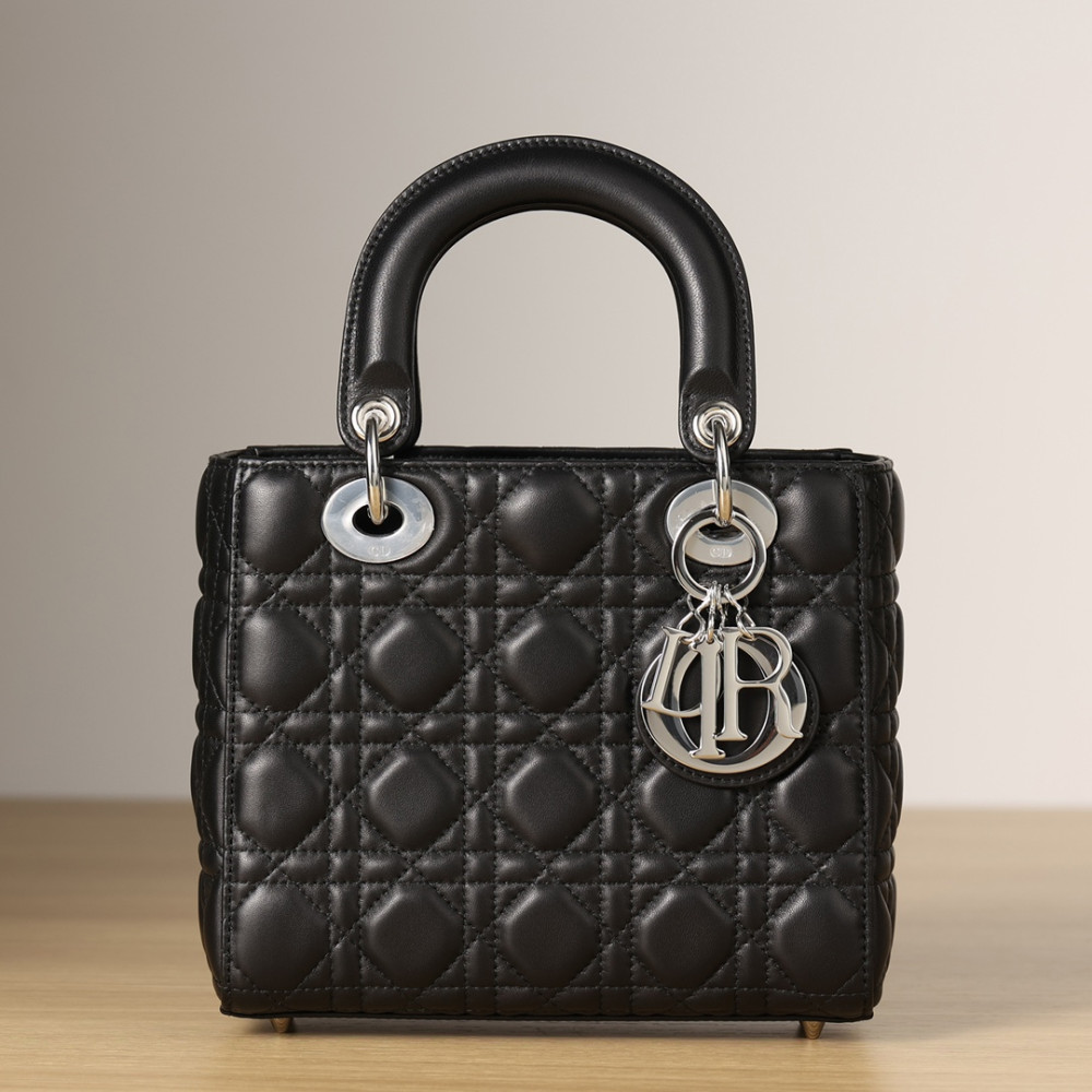 SMALL LADY DIOR MY ABCDIOR BAG SMALL LADY DIOR MY ABCDIOR BAG