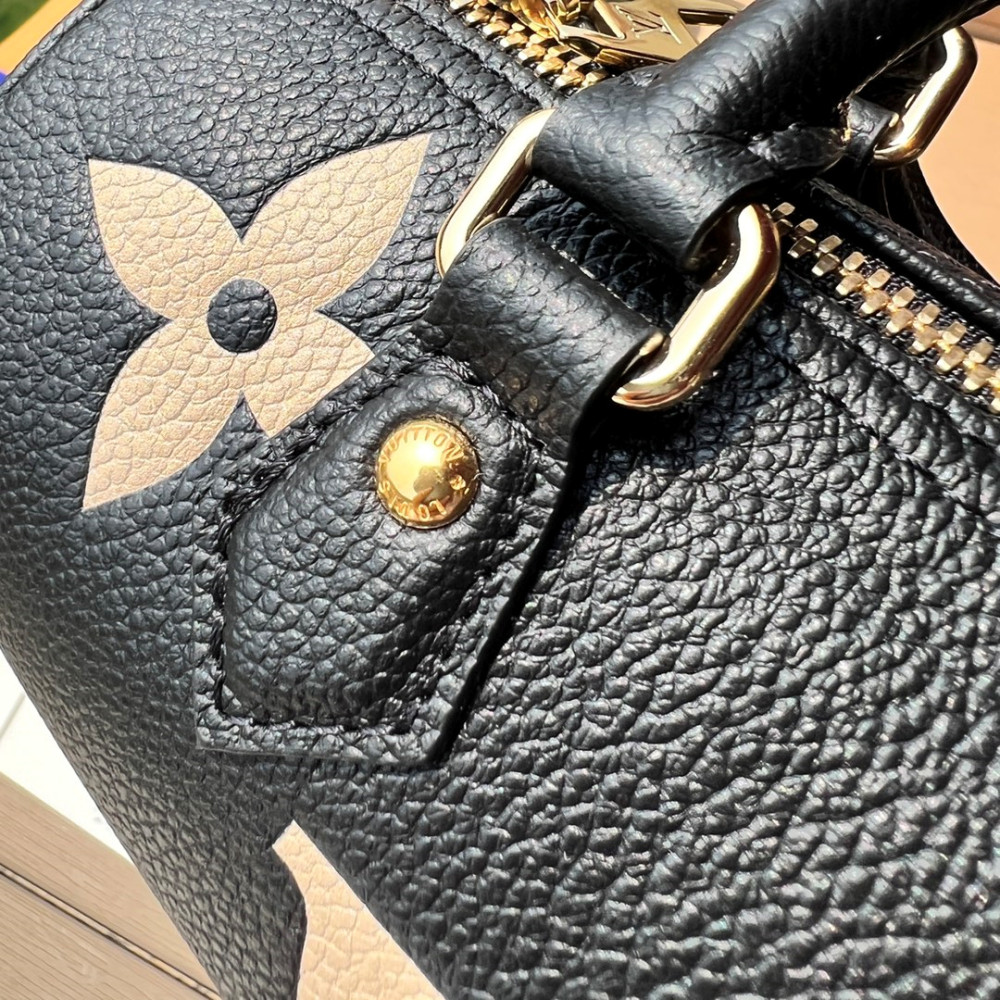 Papillon BB