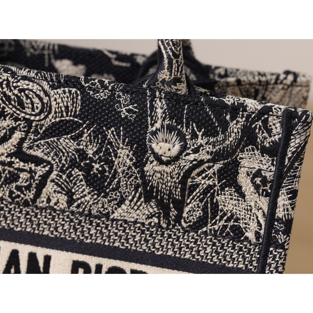 SMALL DIOR BOOK TOTE