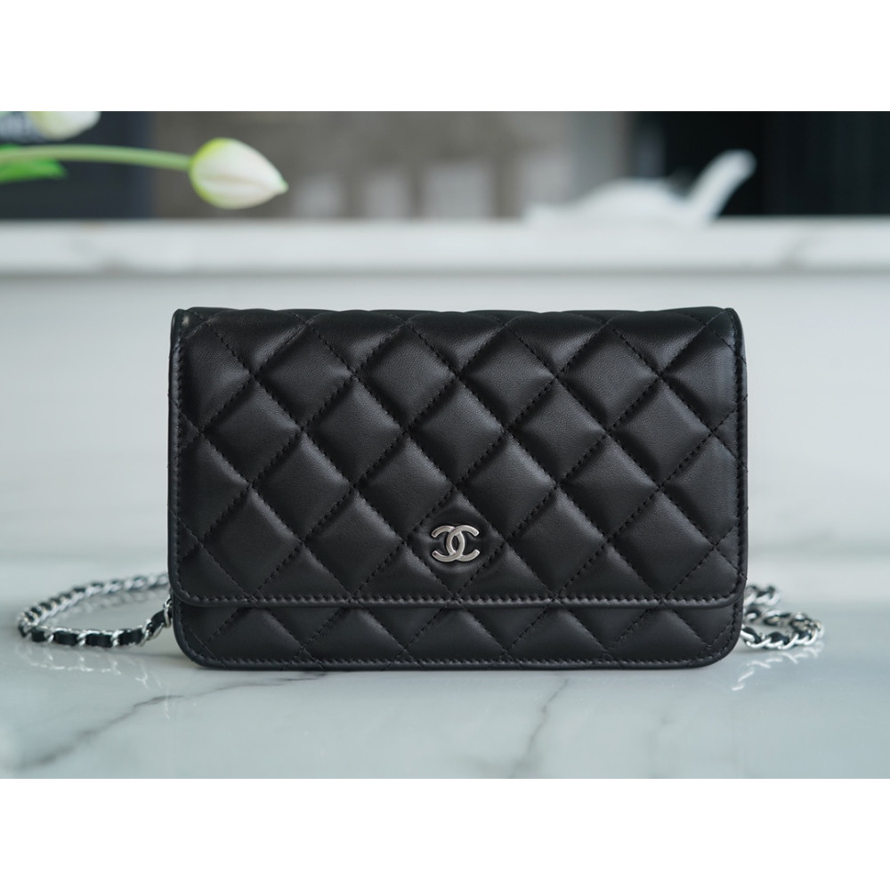 CHANEL WALLET ON CHAIN BAG CHANEL WALLET ON CHAIN BAG