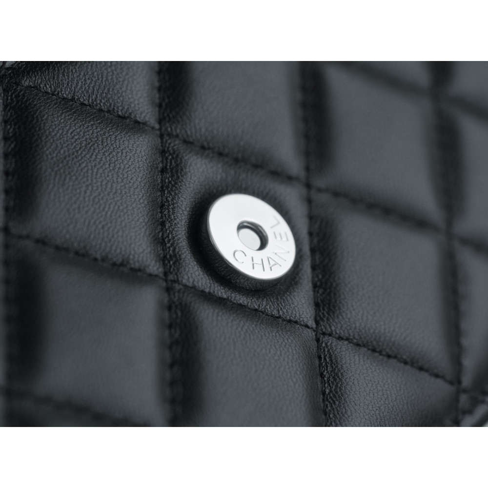 CHANEL WALLET ON CHAIN BAG CHANEL WALLET ON CHAIN BAG