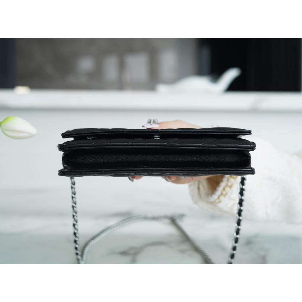 CHANEL WALLET ON CHAIN BAG CHANEL WALLET ON CHAIN BAG