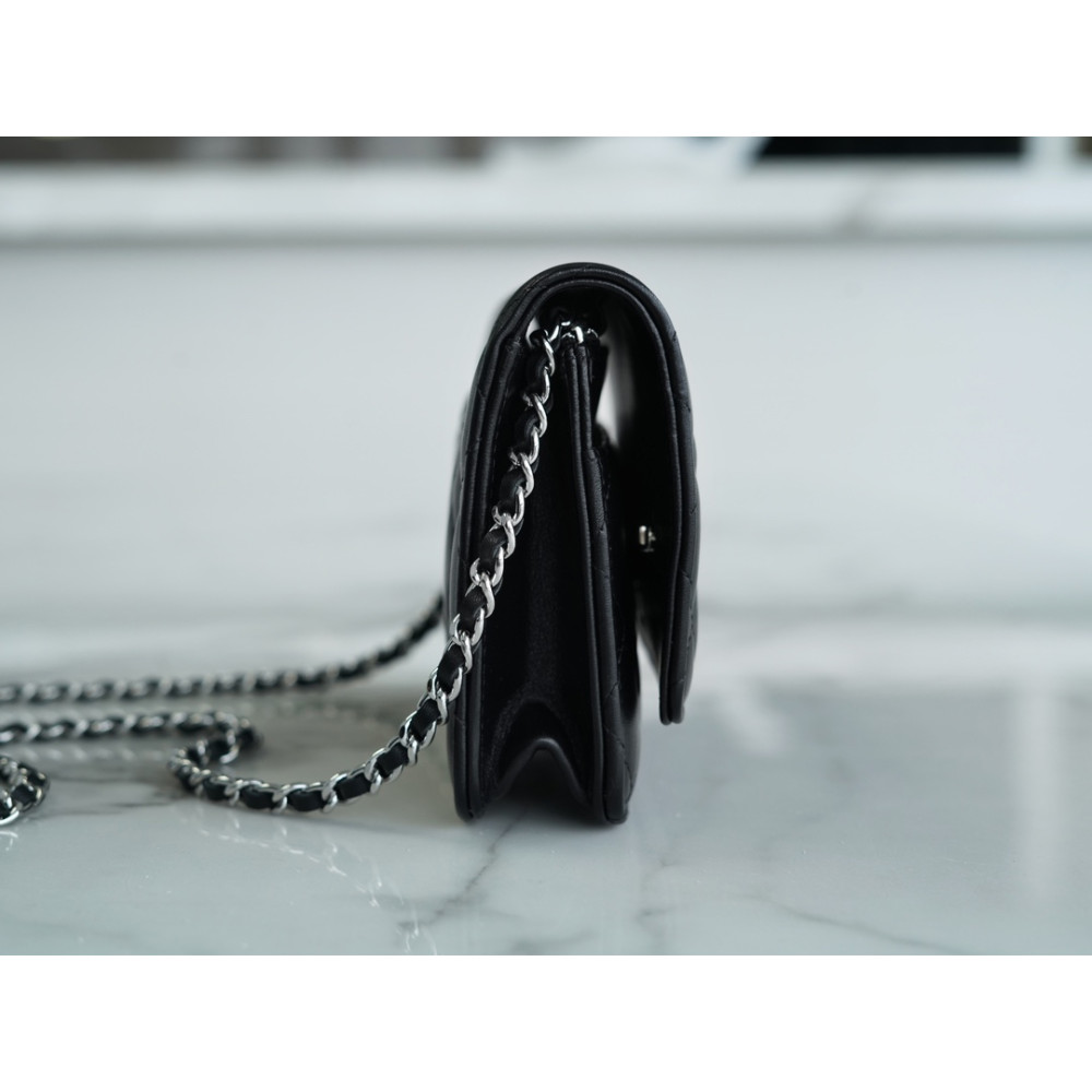 CHANEL WALLET ON CHAIN BAG CHANEL WALLET ON CHAIN BAG