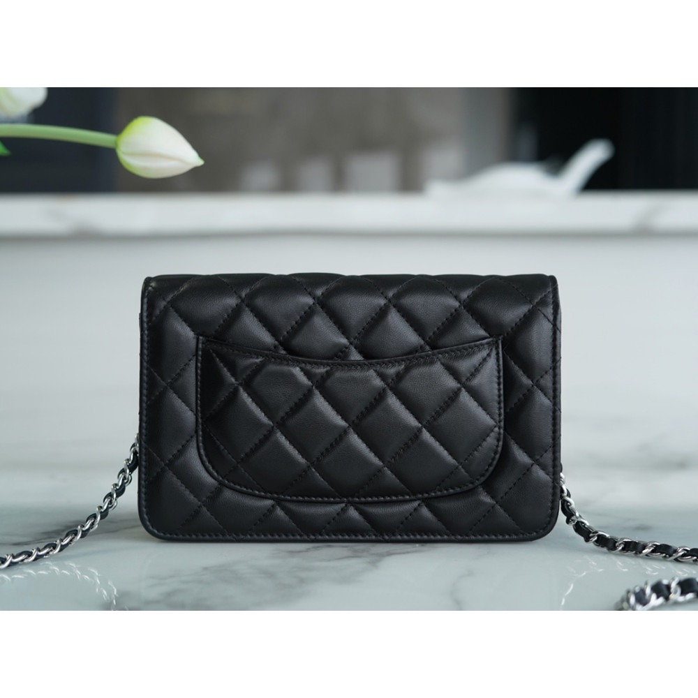 CHANEL WALLET ON CHAIN BAG CHANEL WALLET ON CHAIN BAG
