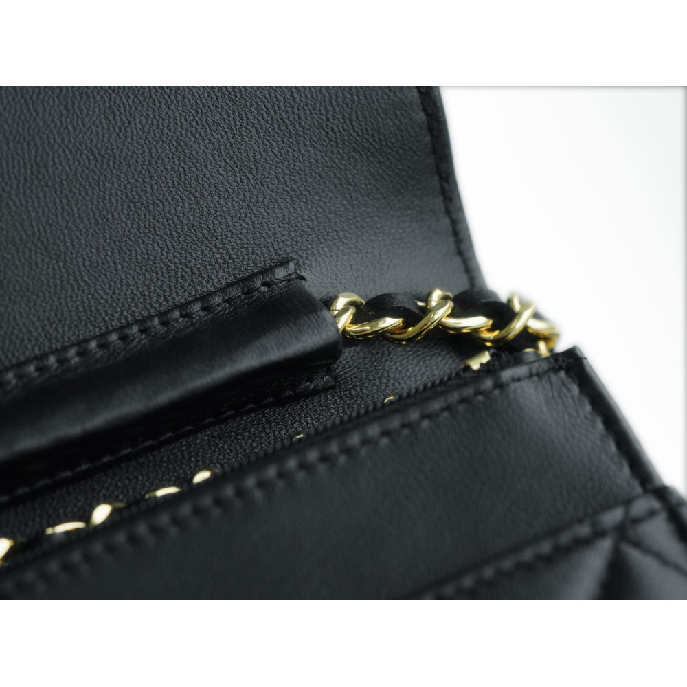 CHANEL WALLET ON CHAIN BAG CHANEL WALLET ON CHAIN BAG
