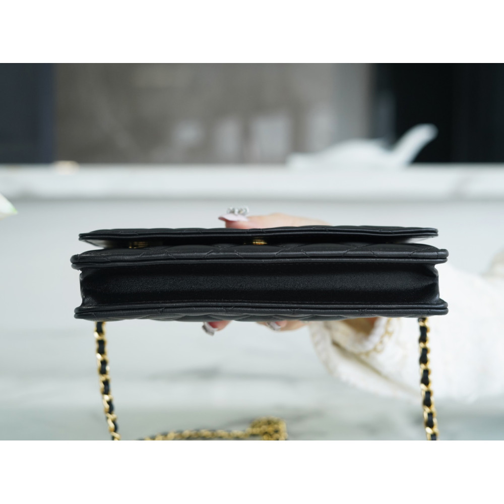 CHANEL WALLET ON CHAIN BAG CHANEL WALLET ON CHAIN BAG