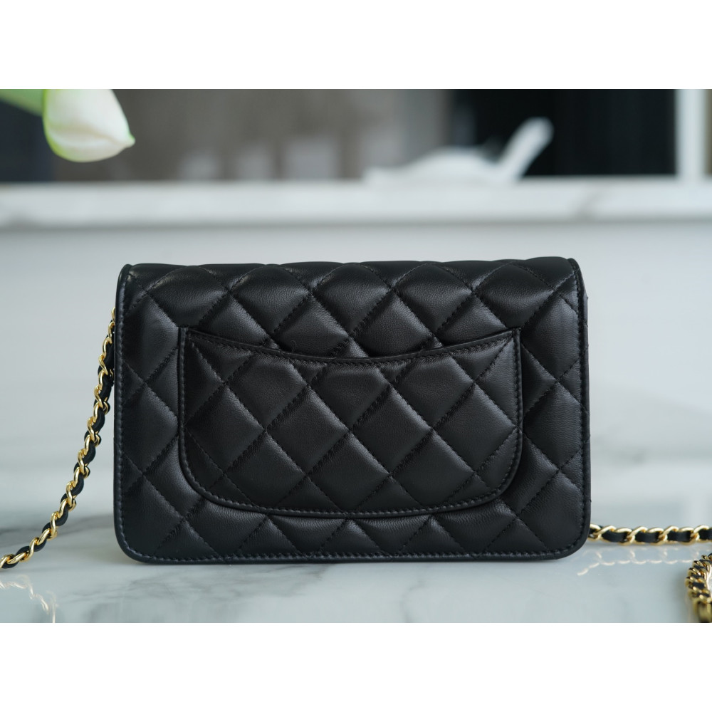 CHANEL WALLET ON CHAIN BAG CHANEL WALLET ON CHAIN BAG
