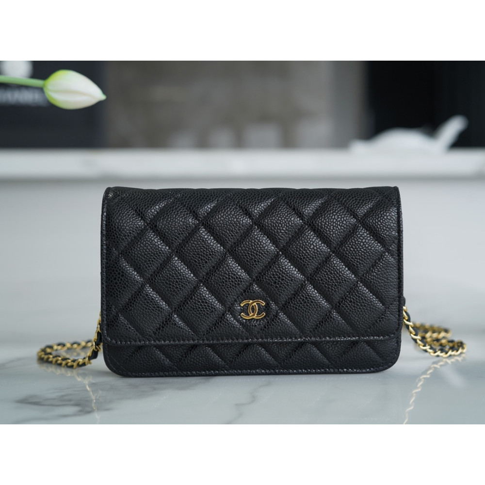 CHANEL WALLET ON CHAIN CHANEL WALLET ON CHAIN