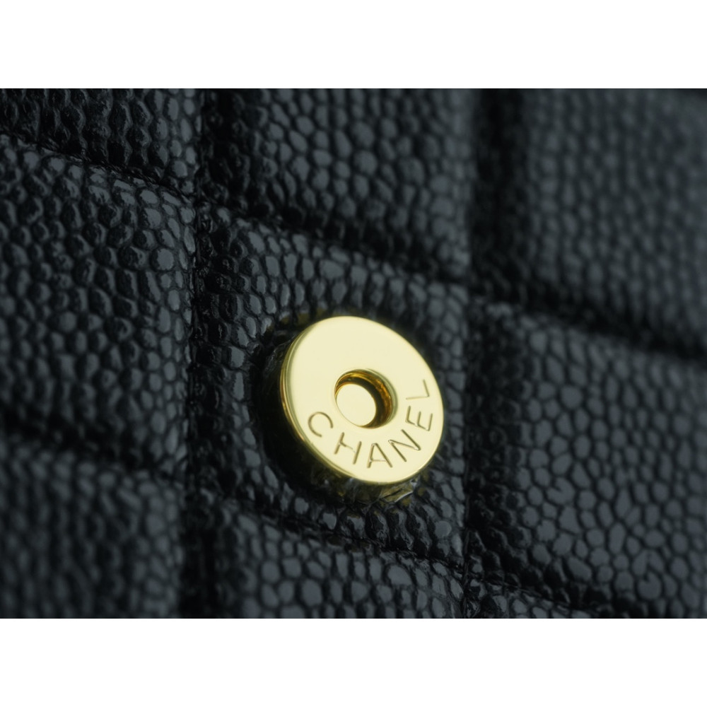 CHANEL WALLET ON CHAIN CHANEL WALLET ON CHAIN