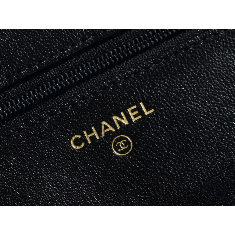 CHANEL 19 WALLET ON CHAIN