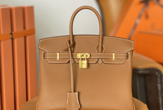 BIRKIN 25 GOLD TOGO H041344CC37 Details 2