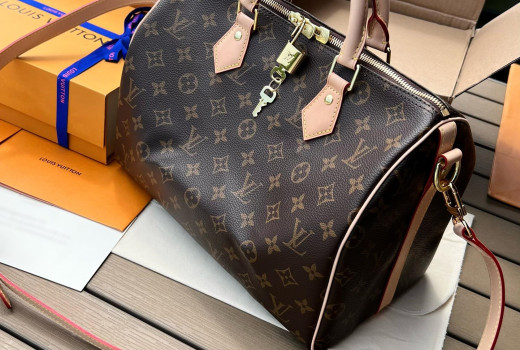 Speedy Bandoulière 30 M41112