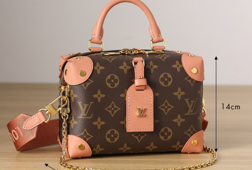 Petite Malle Souple M45531