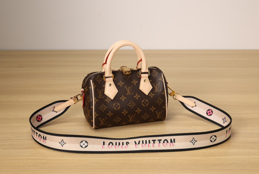 Speedy Bandoulière 20 M45957